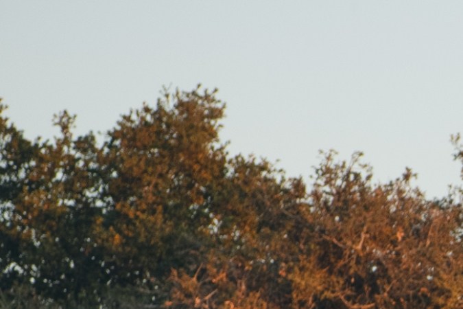 Lexus RX 2025: adiós al híbrido básico, hola a la eficiencia