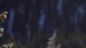 Alpine A390: el crossover eléctrico con ADN deportivo ya es oficial