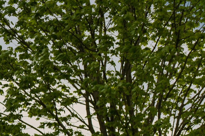 5 marcas involucradas en retiro masivo por problemas de seguridad