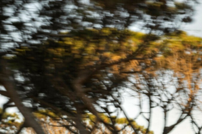 El Audi RS 3 es el auto más barato del segmento contra sus rivales BMW y Mercedes-Benz.