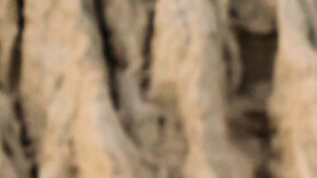 El Audi RS 3 es una de las mejores opciones para tener sensaciones de competencia.