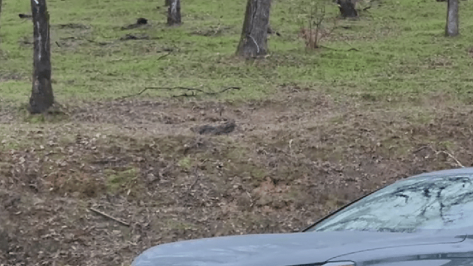 El Audi SQ6 e-tron 2025 tiene grandes mejoras en rendimiento y comodidad.