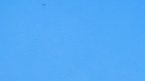 Vehículos del ICE y CBP: cómo identificarlos en EE. UU.