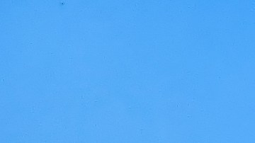Vehículos del ICE y CBP: cómo identificarlos en EE. UU.