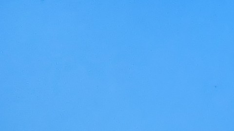 Vehículos del ICE y CBP: cómo identificarlos en EE. UU.