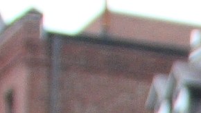 DUI o DWI desfile san patricio usa