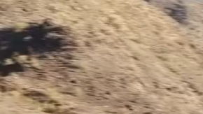 Dodge Charger Daytona EV se podrá adquirir por menos de $50,000 dólares.