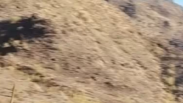 Dodge Charger Daytona EV se podrá adquirir por menos de $50,000 dólares.