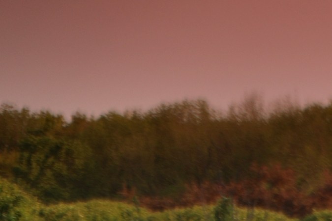 Cuánto cuesta el Dodge Challenger Black Ghost en EE.UU