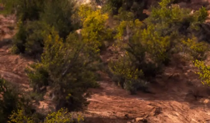 New York Auto Show 2025: fechas, horarios y precios