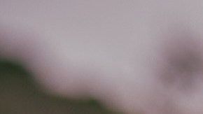 Ford Explorer Tremor 2025: detalles y lanzamiento