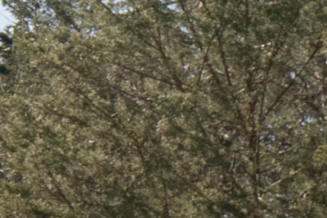 Hyundai Santa Fe 2025: el equilibrio entre estilo y funcionalidad