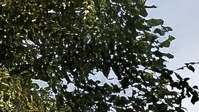 Kia presentó el pequeño EV2, un concepto para el segmento compacto