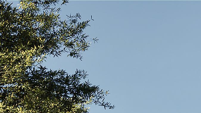 Kia presentó el pequeño EV2, un concepto para el segmento compacto