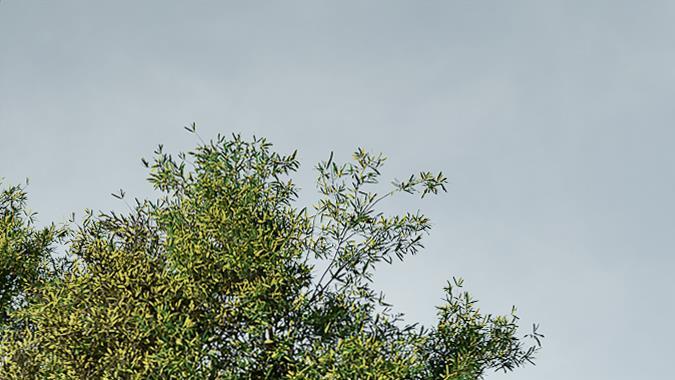 Kia presentó el pequeño EV2, un concepto para el segmento compacto