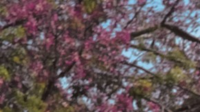 Los mejores autos de 7 plazas usados y baratos del mercado