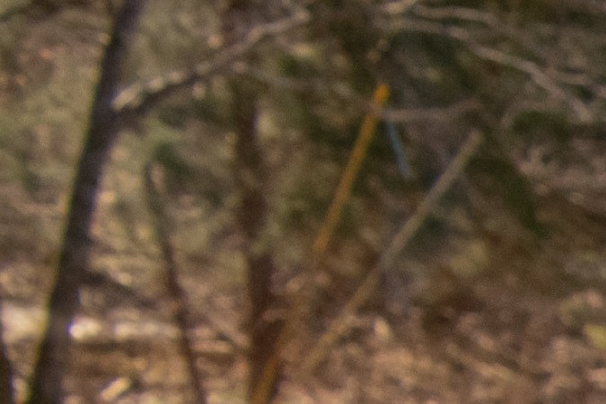 Hyundai Santa Fe 2025: el equilibrio entre estilo y funcionalidad