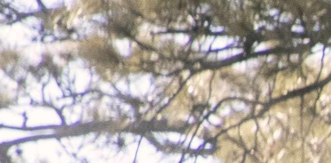 Ford Explorer Tremor 2025: detalles y lanzamiento