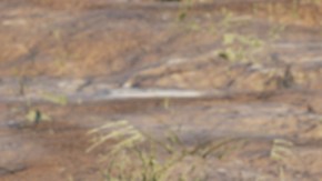 Nissan Z 2025 llega con muchas novedades sin subir su precio