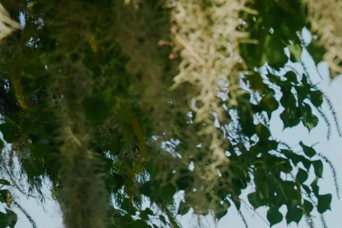 La camioneta pick-up R1T es una de las más potentes que existen.