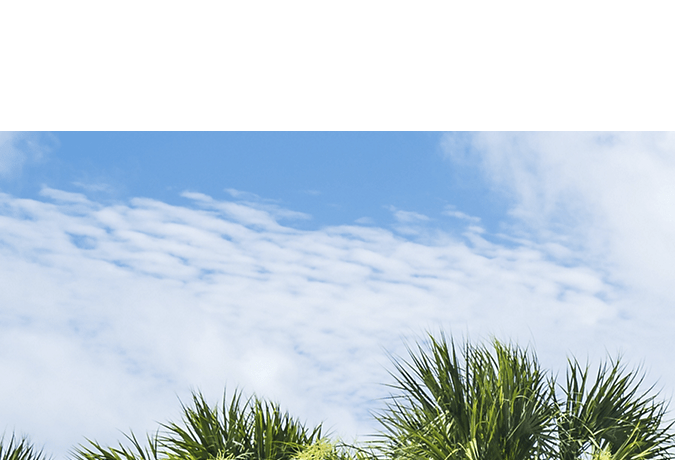 Mejores rines para trocas en Estados Unidos