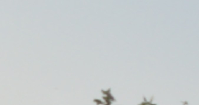 La EPA desregulariza algunas normas de emisiones de vehículos