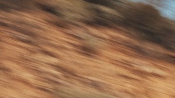 El BMW XM es el vehículo de la marca más potente de la gama.