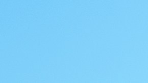 Mujer latina obtiene la licencia en Florida 2025