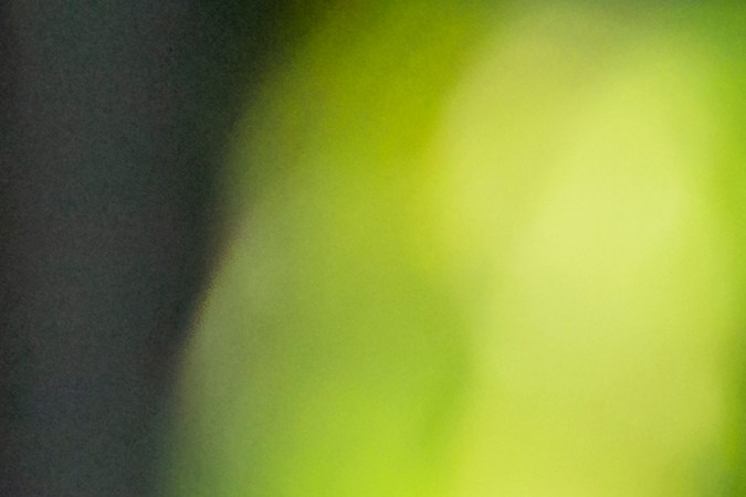 Fórmula 1: temporada 2025 con pilotos y equipos renovados