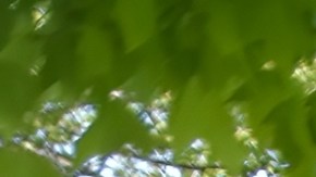 porta escaleras para trocas​