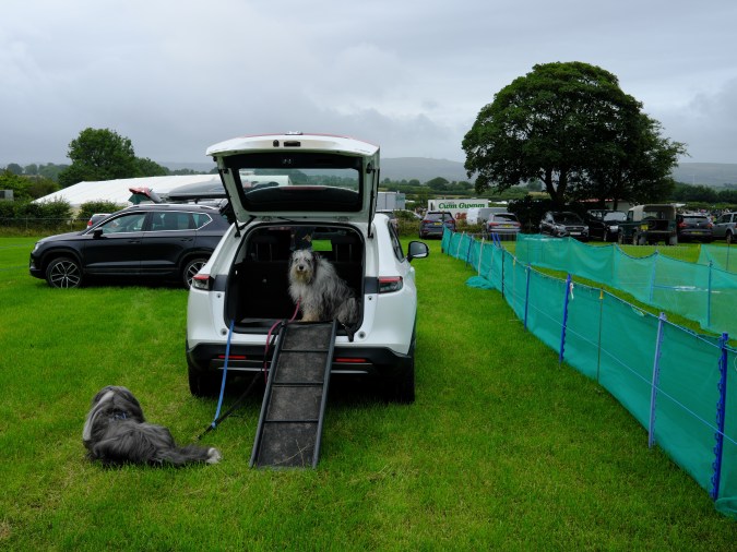 cuánto cuestan las rampas para carros