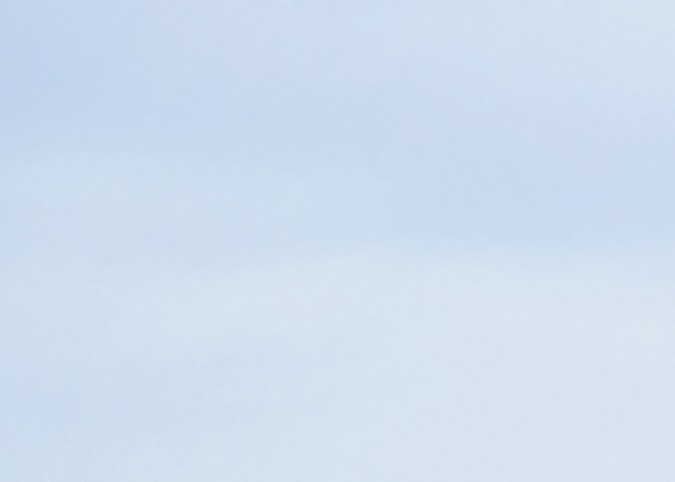 ¿Cuáles son las reglas del DOT?