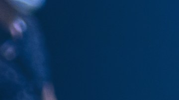 Tipos de tapaderas para trocas: protege tu caja