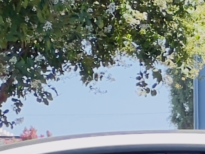 El promedio de la autonomía de un auto eléctrico es de 300 millas.