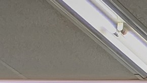 cómo comprar llantas en walmart