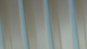 Pintura de autos o wrap de vinilo: cuál es mejor