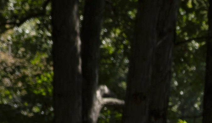 La mejor pick-up de 2025