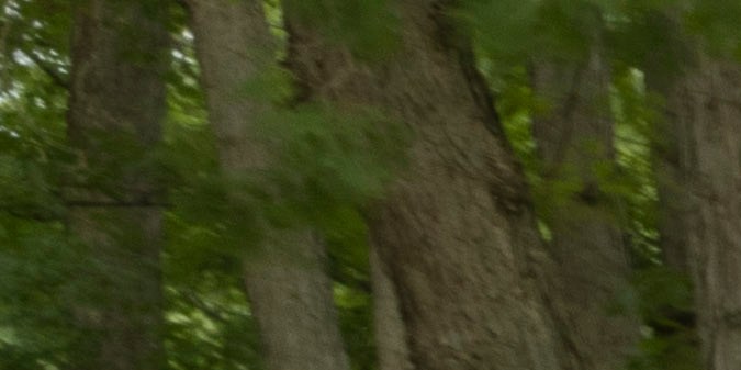 Ford F-150 y Ram 1500: diferencias clave