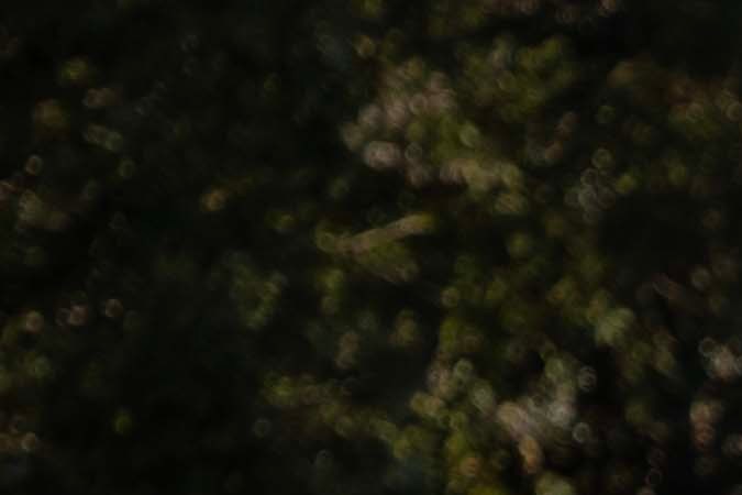 Explora el nuevo Subaru Outback 2026