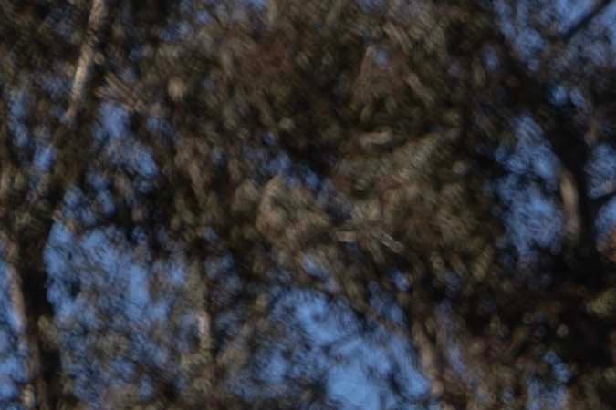 Subaru Outback 2026: 30 años de legado renovados con tecnología y diseño audaz