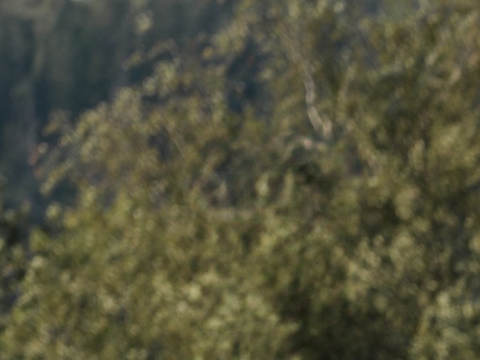 Precio del Polestar 3.