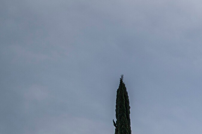 Cuánto cuesta un Audi en E.E.U.U.