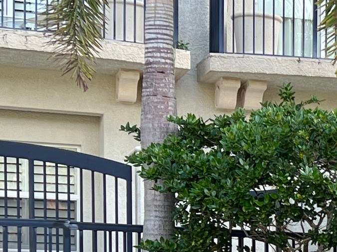 Cómo quitar un Barnacle