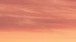 Cadillac XT6 finaliza su producción con el modelo 2025.