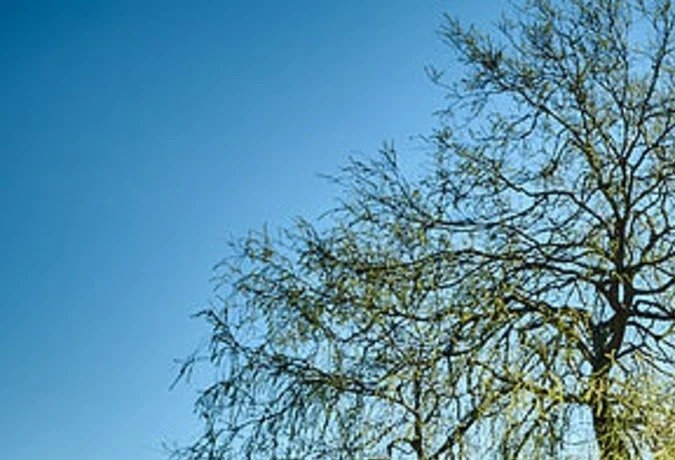 ¿Un sauna en una furgoneta? Ford E-Transit lo hace posible