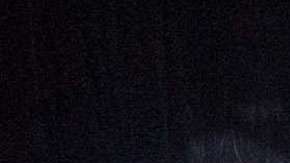 Los papamóviles del Papa Francisco