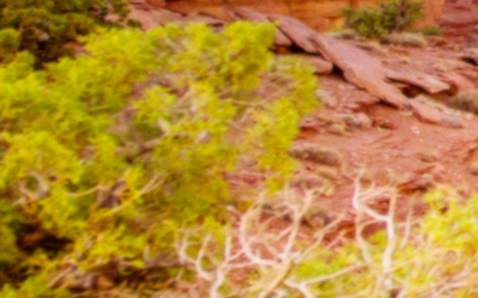 El Jeep Wrangler 4xe Blueprint Concept está compuesto por 40 piezas desarrolladas por Mopar.