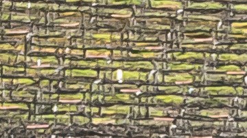 Sauna móvil de Ford