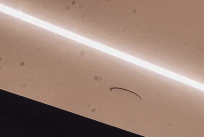 Modelos de Lucid Motors.