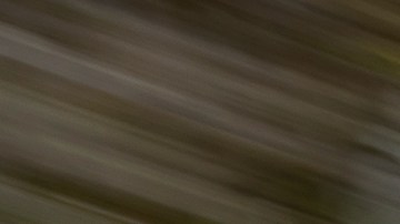 El Mercedes-Benz AMG E 53 Hybrid 2026 tiene una potencia base de 577 caballos de fuerza.